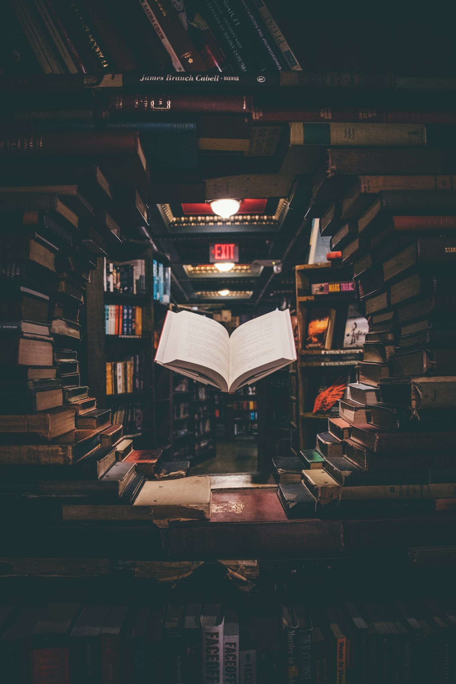Aprender a Aprender: Estratégias Para Estudantes e Professores